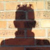 Avatar PIERRE TROULET